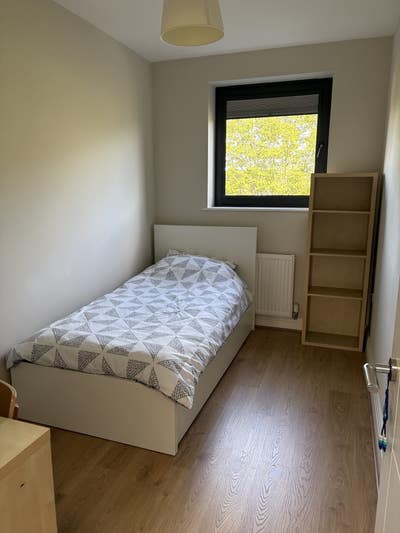 Bright & Comfortable Singlr Room Main Photo