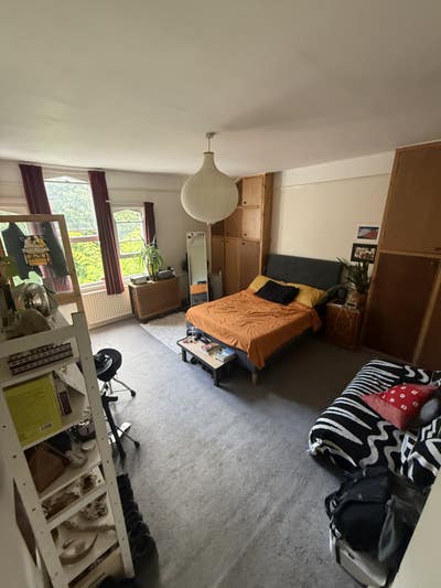Big Room in a bright Georgian house  Main Photo