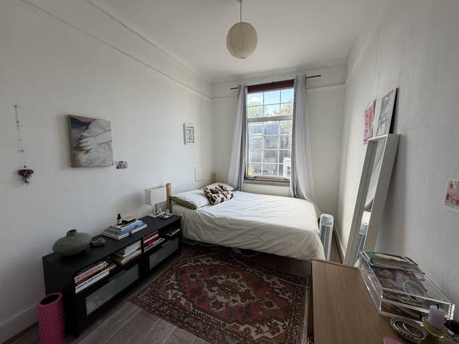 Cosy & sunny double room in Stoke Newington Main Photo