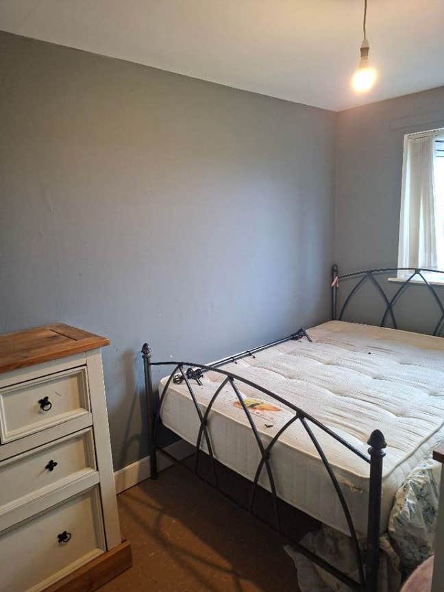 A Spacious 1 single room  for rent in BT33 0HG Main Photo