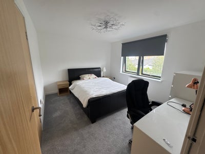 King Sized Room for Rent! EH16 Main Photo