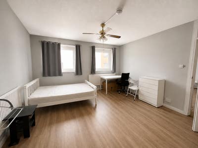 Large double room in a female flatshare in Euston Main Photo
