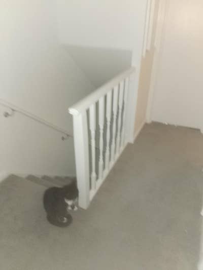 Furnished large double in quiet house all bills in Main Photo