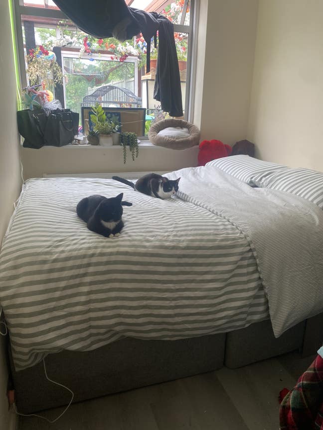 Cozy double bedroom in family house  Main Photo