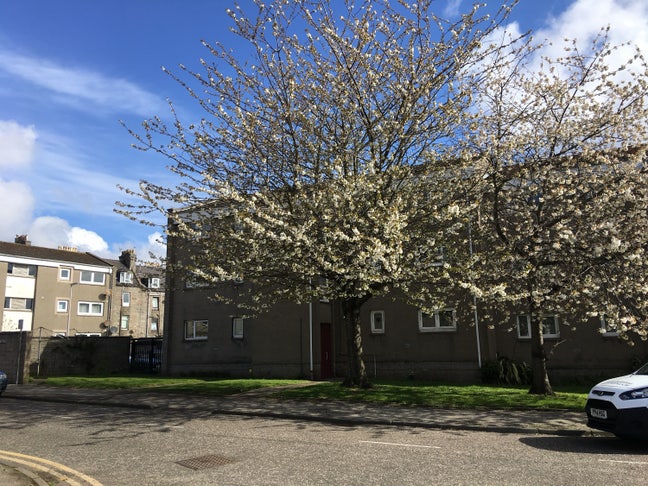 One bed flat in Rosemount AB25 Main Photo