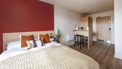 Subletting Spacious Studio for Students in Edin Main Photo