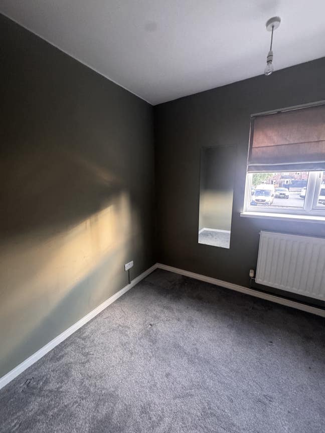 Single Room for Rent – Newmarket  Main Photo