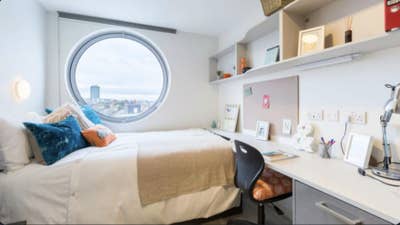Studio Room to Let - university accommodation Main Photo