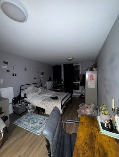 Large Furnished Double Room with Private Garden +  Main Photo
