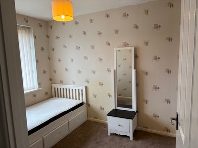 Double room in a decent house in wickford  Main Photo