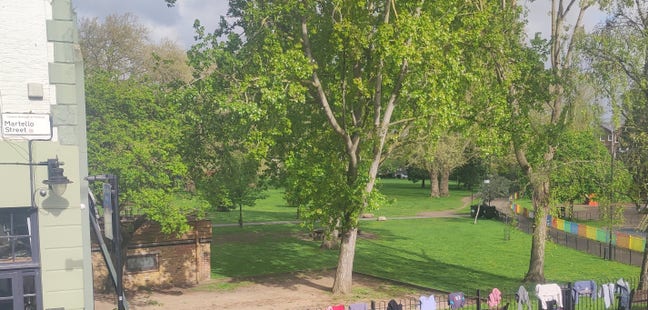 Double|Park view|London Fields|A Dog Rocky|8-26Oct Main Photo