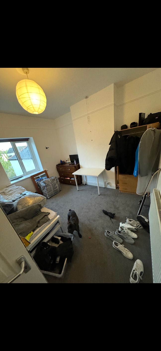 Large double rooms  Main Photo