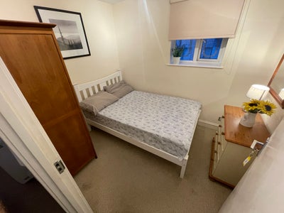Two Rooms, Bicycle Storage and Clean! Main Photo