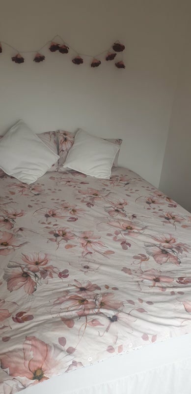  Large and bright king size bedroom in East London Main Photo