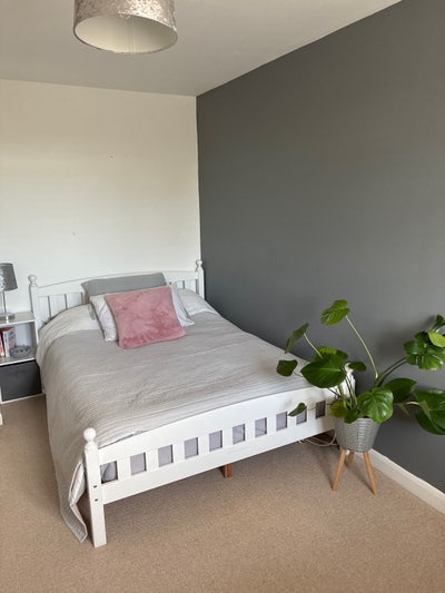 Double room to rent in my home  Main Photo