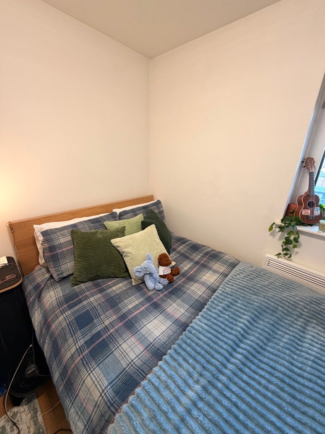 Room Available from November 27th 🌱🌸 Main Photo
