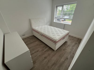 Luxurious Double Room In Flat Main Photo