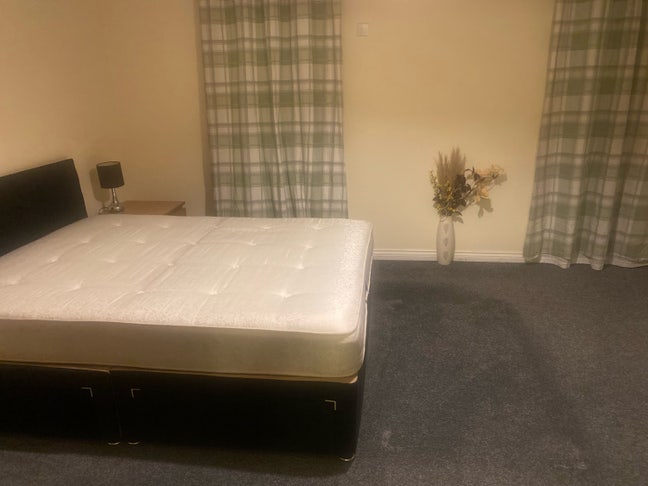 Clean and spacious room Main Photo