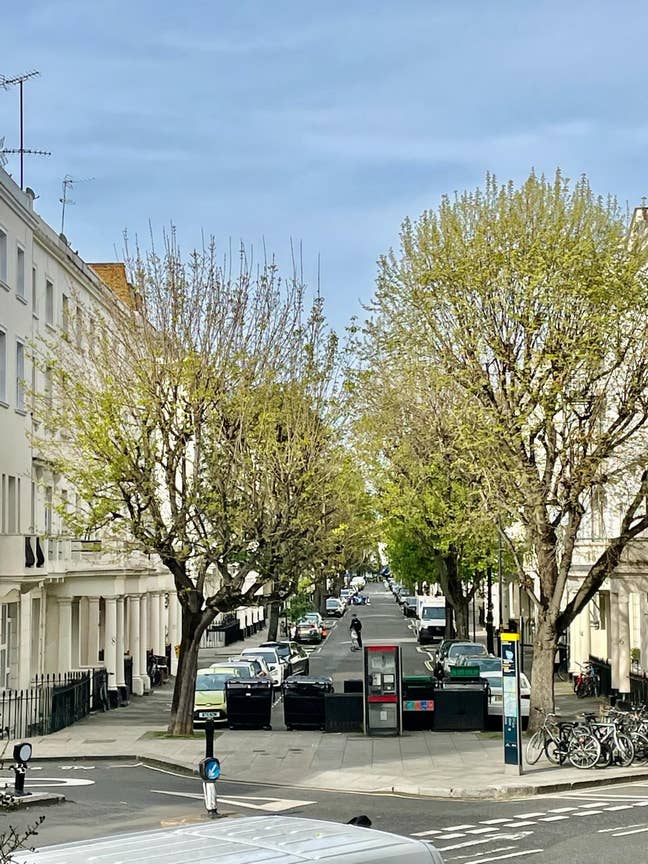3 Panoramic rooms next to Sloane Square Main Photo