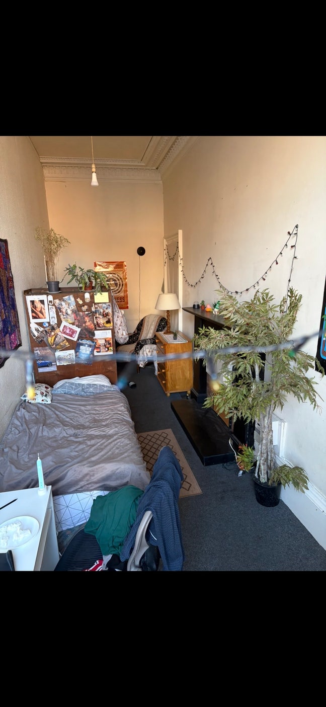 Attractive Single room Main Photo