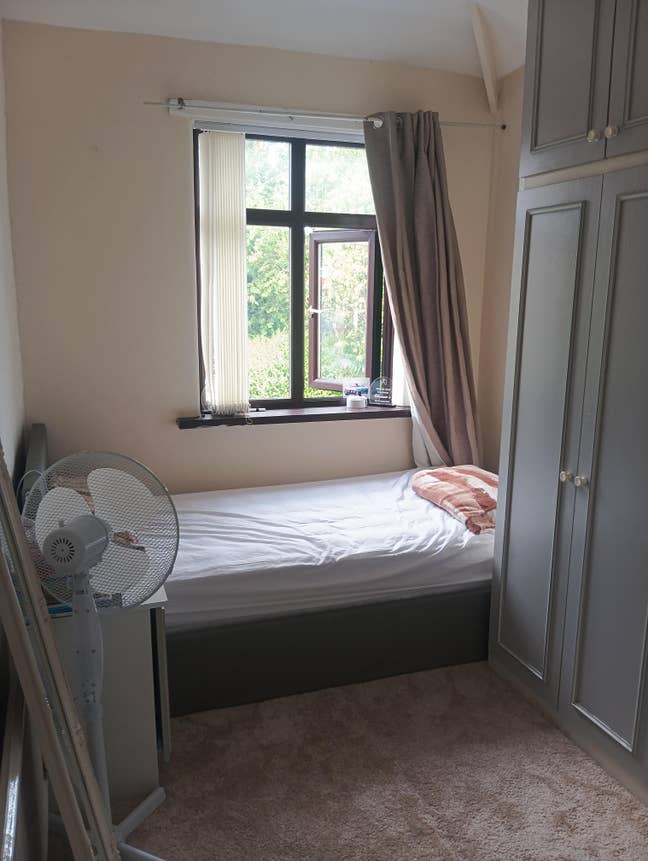 Bright & Cozy Single Room Available Main Photo