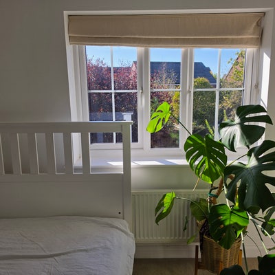 Bright West-Facing Double Room with En-Suite  Main Photo