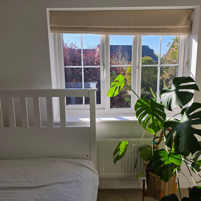 Bright West-Facing Double Room with En-Suite  Main Photo