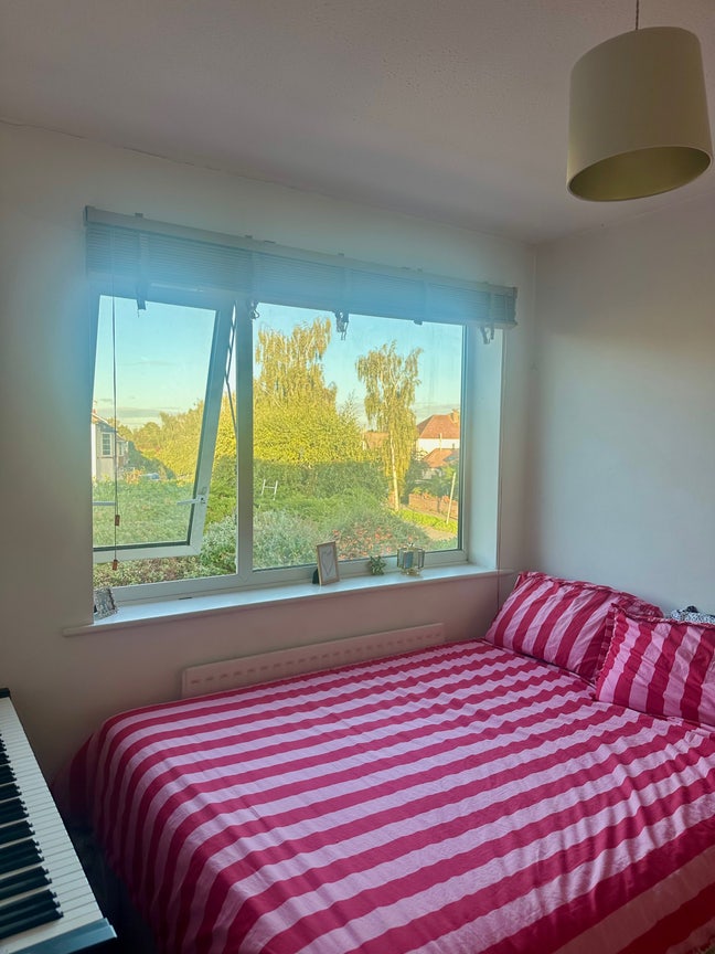Bright double room in a friendly houseshare Main Photo