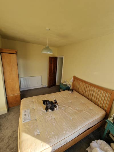 Nice room in family house  Main Photo
