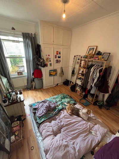 SUPER CUTE double room in Forest Hill! Main Photo