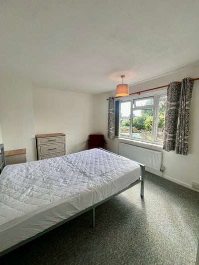 Large Double in Professional Shared Home Main Photo