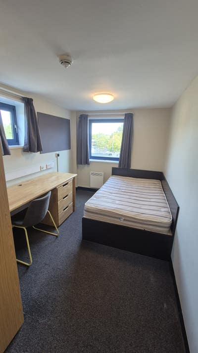 🚨 Urgent Student Accommodation Takeover 🚨   Main Photo