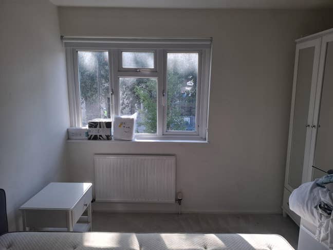 Large double room, own bathroom, very cute cat Main Photo