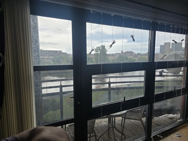 Spare Room Available | Prime Clyde Street Location Main Photo