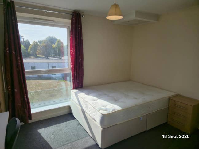Beautiful en-suite double room in Hatfield  Main Photo