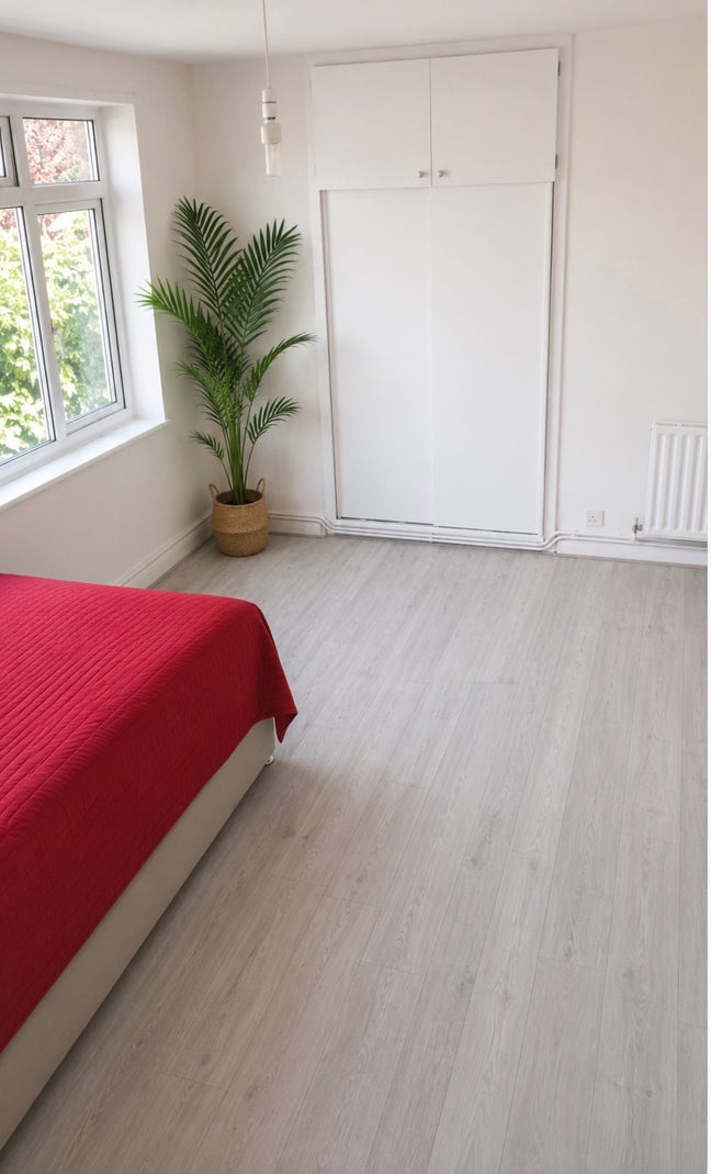 Spacious Modern Studio single occupancy/2 sharing Main Photo