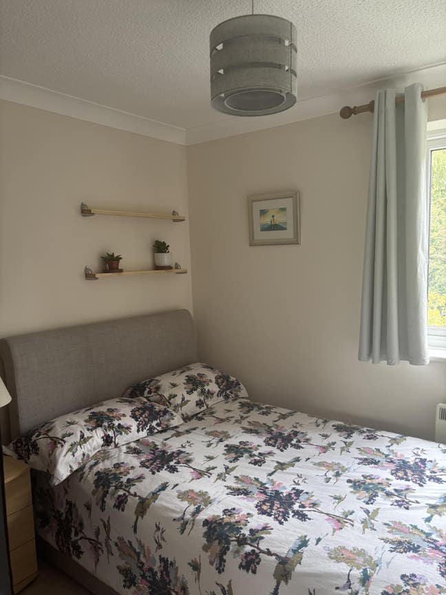 Single room to rent with small double size bed Main Photo