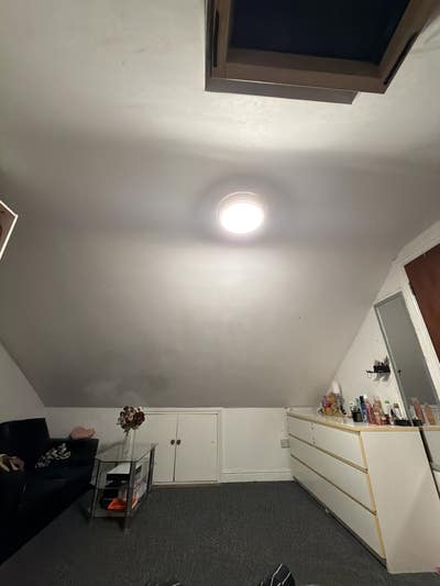    Friendly Female Looking for a Roommate Main Photo