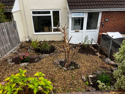 Light room with parking & garden in Long Ashton  Main Photo