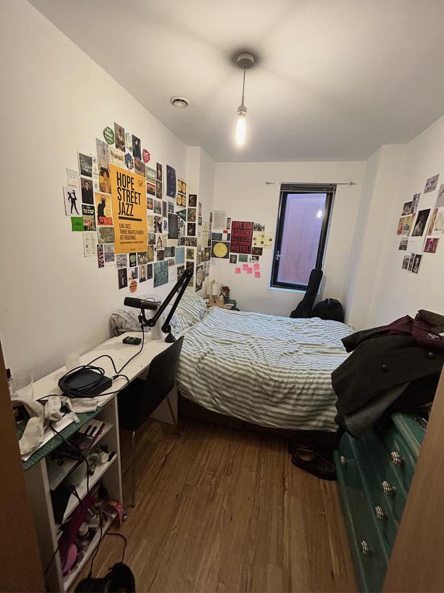 Spare Room in Baltic! Move in 16th of October Main Photo