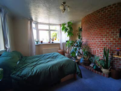 Large, light double room in spacious 4 bed house Main Photo