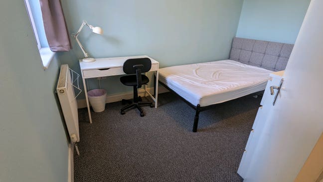 Lovely Home w/ Young Professionals. All Bills Incl Main Photo