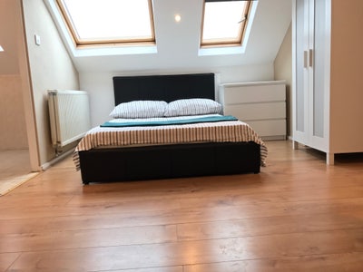 Large Double Room + Private Wc | October Only Main Photo