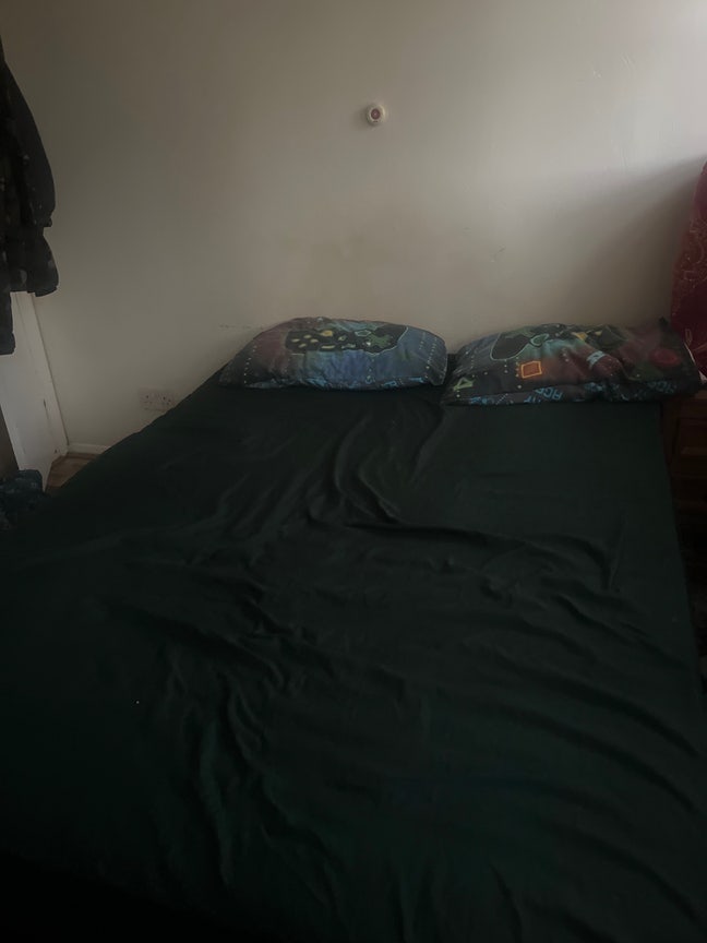 Short Term  Main Photo