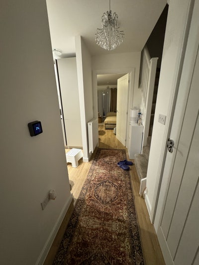 1 person needed to take up a room Main Photo