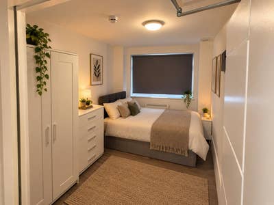 Brand New Ground Floor Studio Main Photo