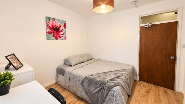 Cosy Room in a Grnd Flr Flat Avl Now  Main Photo