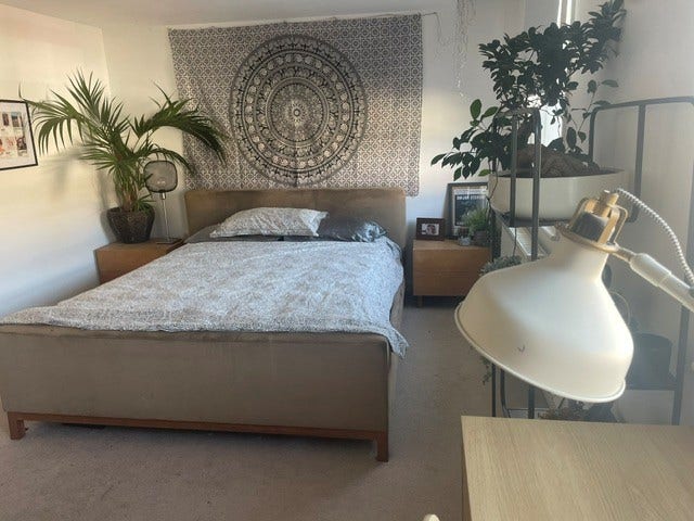 Bright spacious master bedroom available in Zone 2 Main Photo