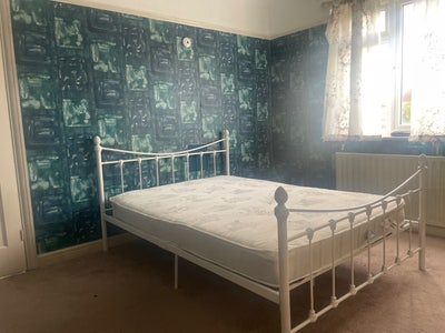 1x Double room for rent ( Room 2)  Main Photo