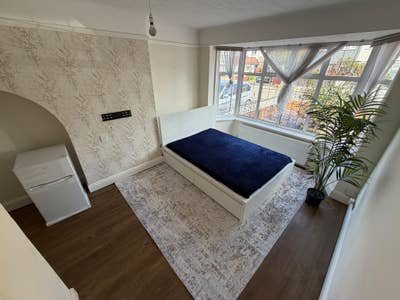 Spacious, comfortable and personable room to rent. Main Photo